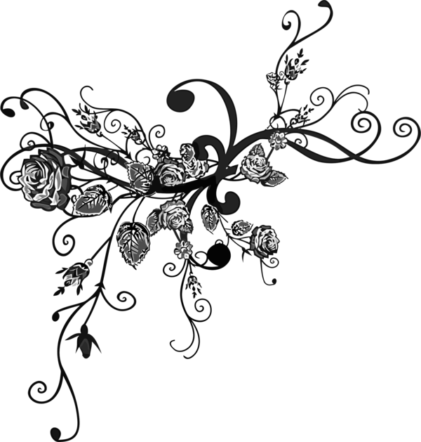 Free Butterfly Black And White Branch Flower Clipart Clipart Transparent Background