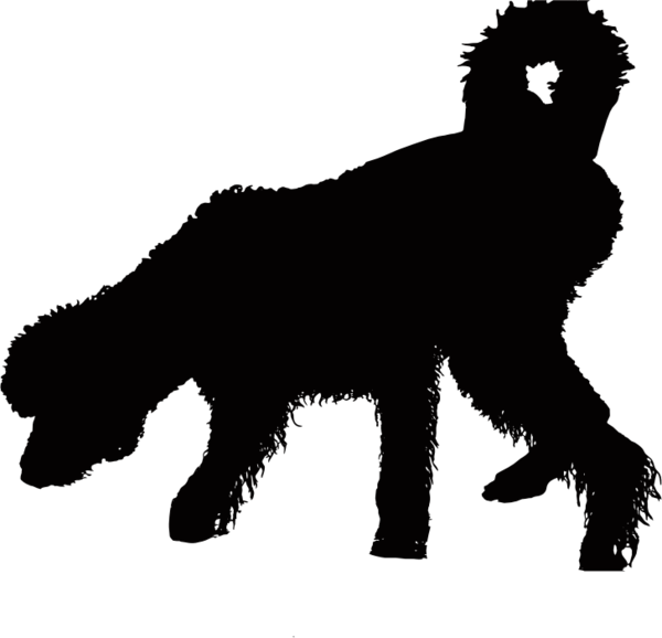 Free Bear Dog Silhouette Black And White Clipart Clipart Transparent Background