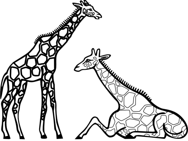 Free Giraffe Wildlife Giraffe Line Art Clipart Clipart Transparent Background