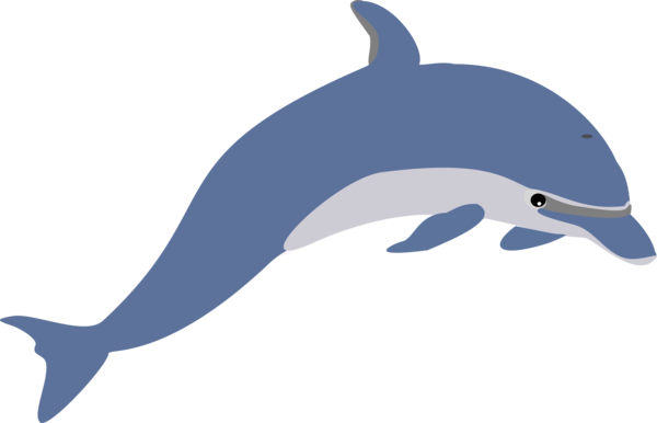 Free Dolphin Dolphin Wildlife Short Beaked Common Dolphin Clipart Clipart Transparent Background