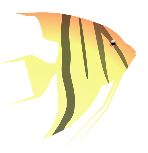 Free Fish Fish Fin Tail Clipart Clipart Transparent Background