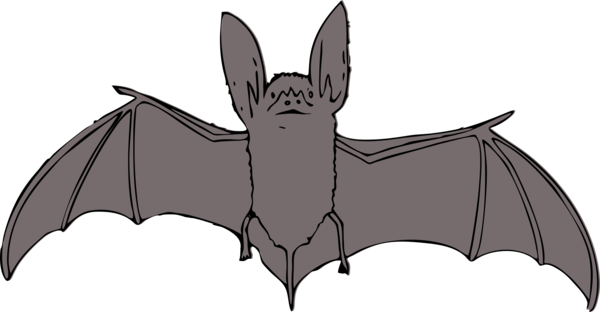 Free Bat Bat Black And White Head Clipart Clipart Transparent Background