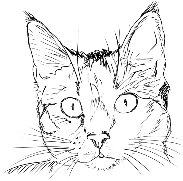 Free Cat Cat Line Art Face Clipart Clipart Transparent Background