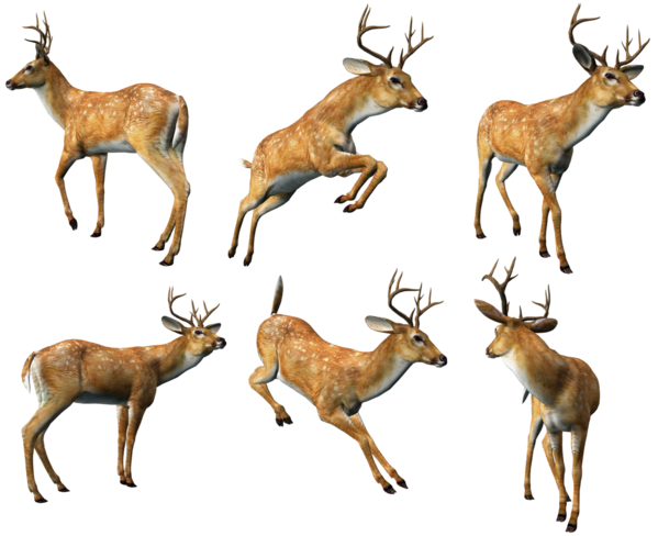 Free Deer Wildlife Deer Elk Clipart Clipart Transparent Background