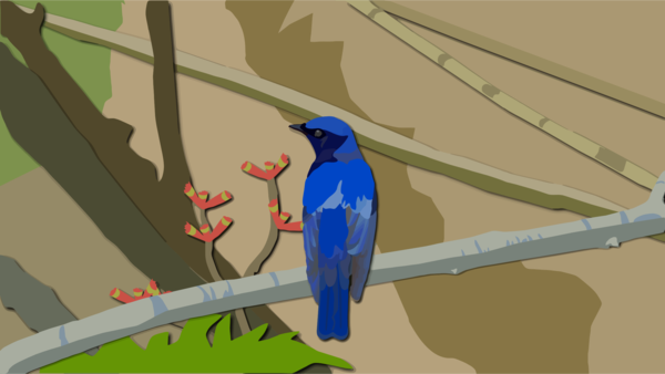 Free Bird Bird Macaw Wing Clipart Clipart Transparent Background