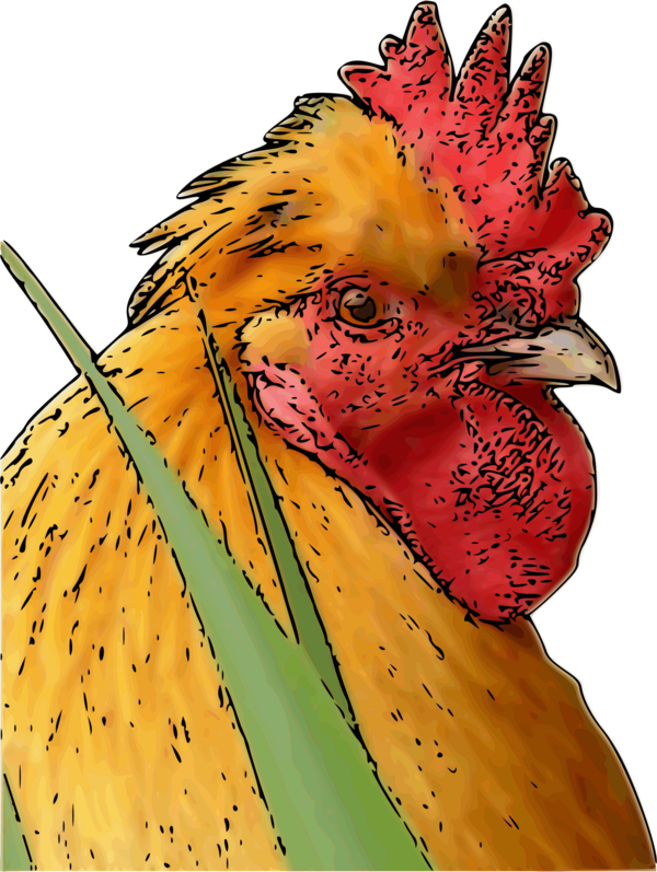 Free Bird Chicken Flower Rooster Clipart Clipart Transparent Background
