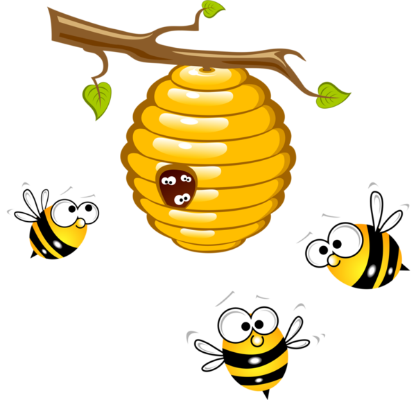 Free Bee Honey Bee Bee Insect Clipart Clipart Transparent Background