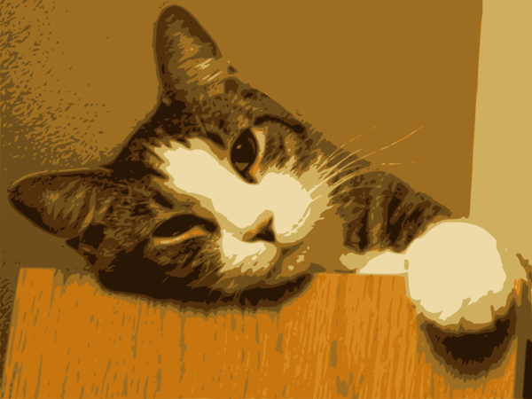 Free Cat Cat Whiskers Snout Clipart Clipart Transparent Background