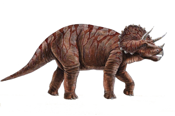 Free Dinosaur Dinosaur Tyrannosaurus Extinction Clipart Clipart Transparent Background