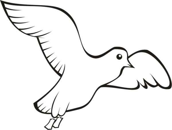 Free Bird Beak Bird Line Art Clipart Clipart Transparent Background