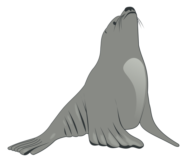 Free Bird Seals Beak Bird Clipart Clipart Transparent Background