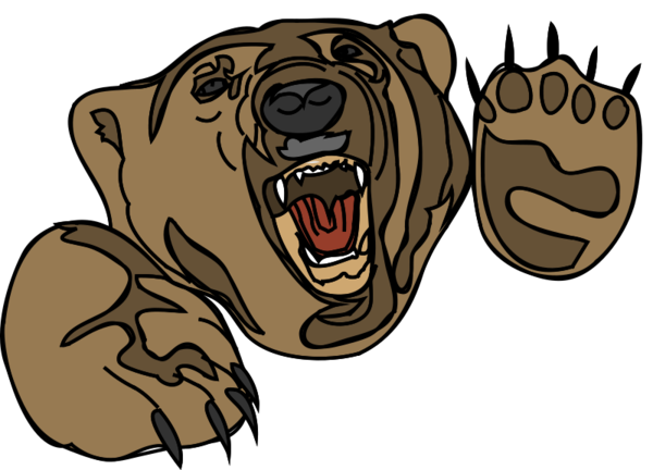 Free Bear Bear Head Snout Clipart Clipart Transparent Background