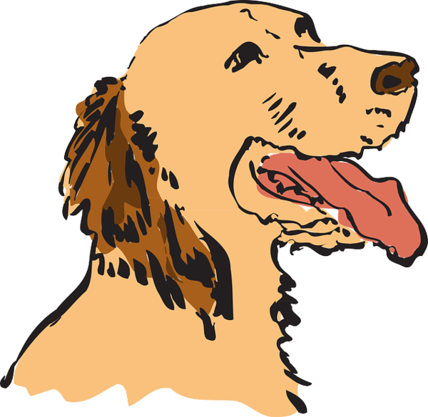 Free Bear Dog Nose Head Clipart Clipart Transparent Background