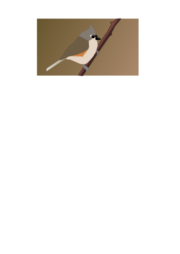 Free Bird Bird Text Beak Clipart Clipart Transparent Background