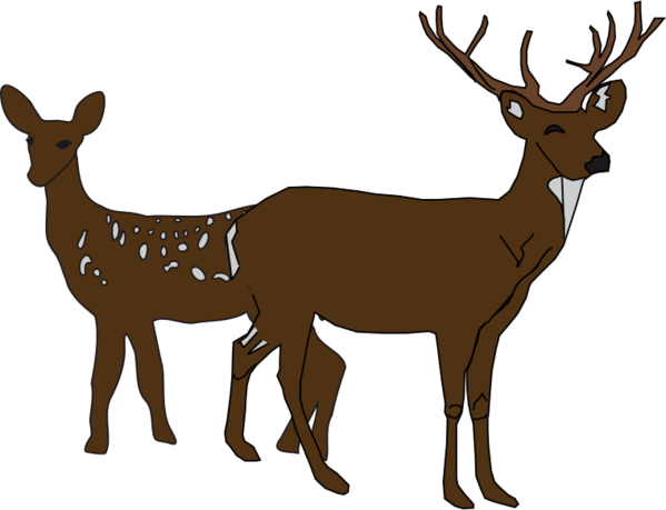 Free Deer Deer Wildlife Elk Clipart Clipart Transparent Background