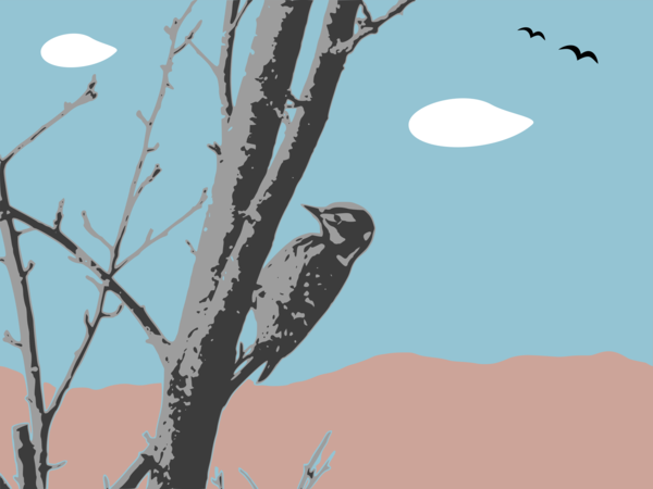 Free Bird Tree Branch Bird Clipart Clipart Transparent Background