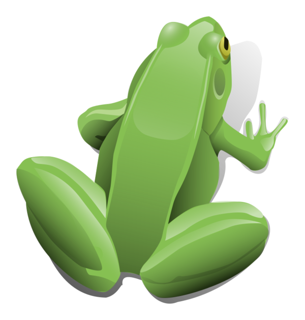Free Frog Frog Tree Frog Clipart Clipart Transparent Background