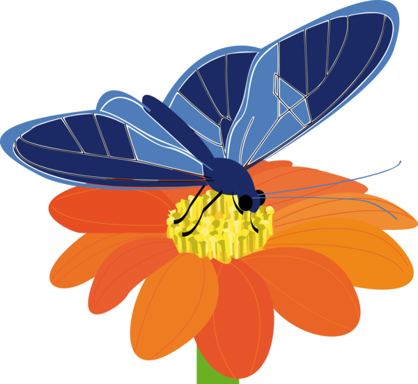 Free Bee Insect Flower Moths And Butterflies Clipart Clipart Transparent Background