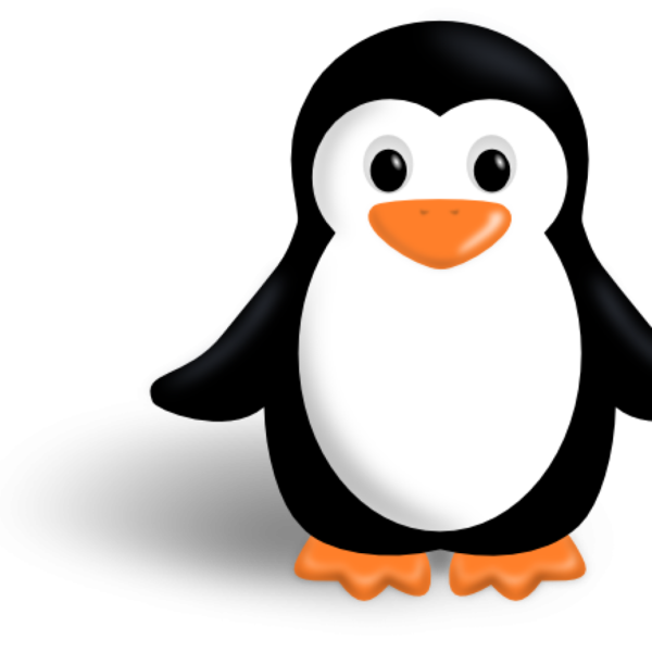 Free Bird Penguin Bird Flightless Bird Clipart Clipart Transparent Background