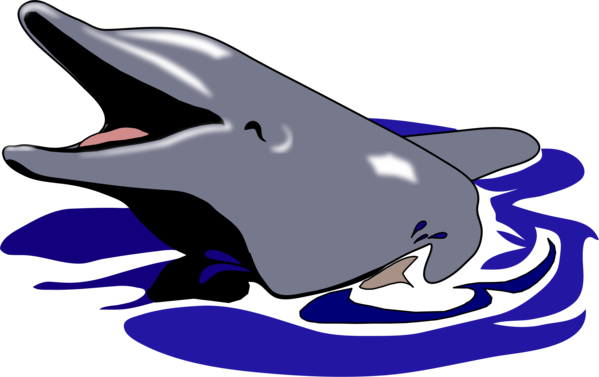 Free Dolphin Dolphin Cobalt Blue Electric Blue Clipart Clipart Transparent Background