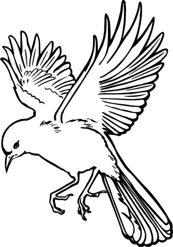 Free Bird Beak Bird Black And White Clipart Clipart Transparent Background