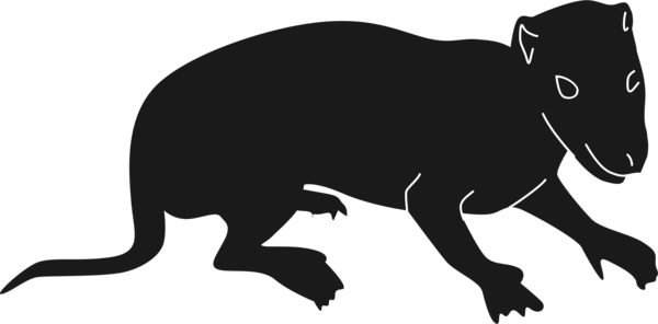 Free Bear Black And White Rat Wildlife Clipart Clipart Transparent Background