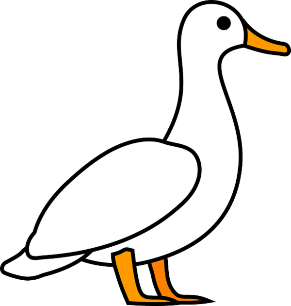 Free Bird Beak Bird Ducks Geese And Swans Clipart Clipart Transparent Background