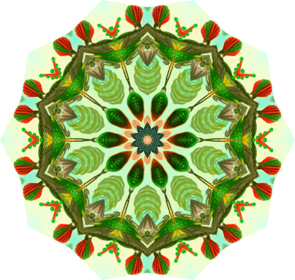 Free Hummingbird Kaleidoscope Symmetry Circle Clipart Clipart Transparent Background