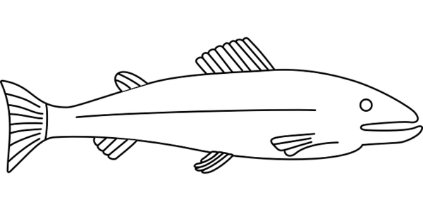Free Fish Fish Black And White Line Art Clipart Clipart Transparent Background