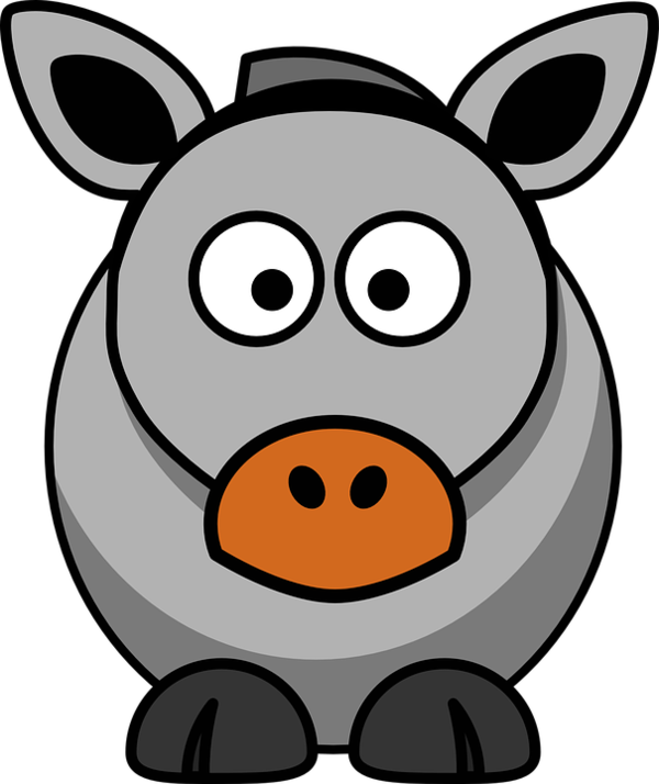 Free Donkey Nose Head Snout Clipart Clipart Transparent Background