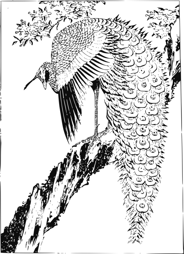 Free Bird Bird Black And White Tree Clipart Clipart Transparent Background