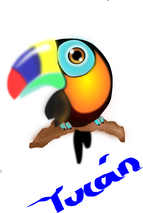 Free Bird Beak Toucan Bird Clipart Clipart Transparent Background
