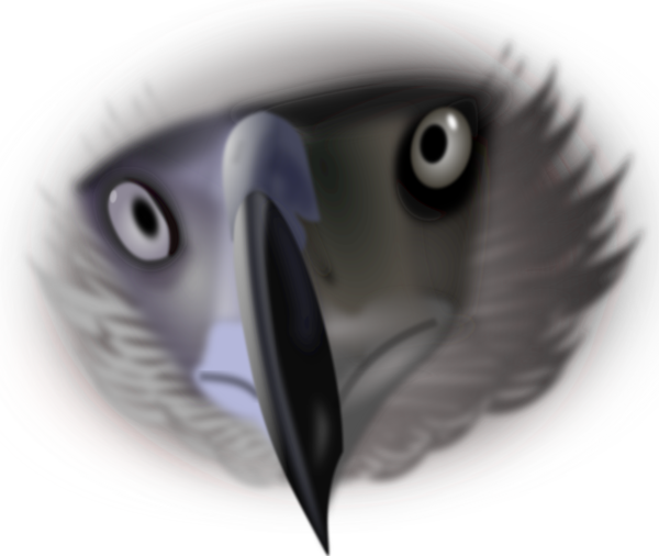 Free Bird Close Up Beak Eye Clipart Clipart Transparent Background
