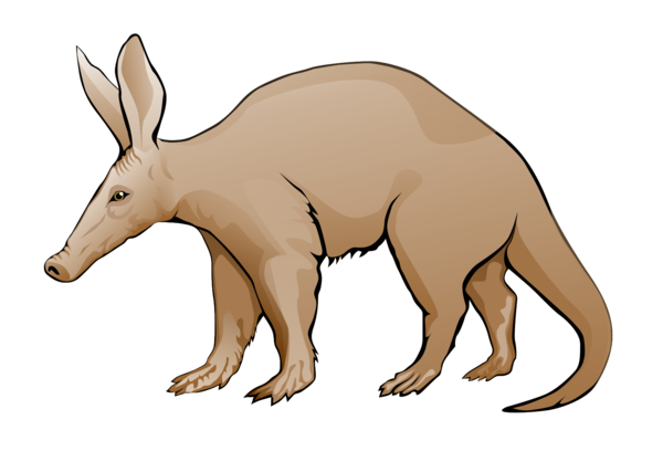 Free Bear Macropodidae Wildlife Tail Clipart Clipart Transparent Background