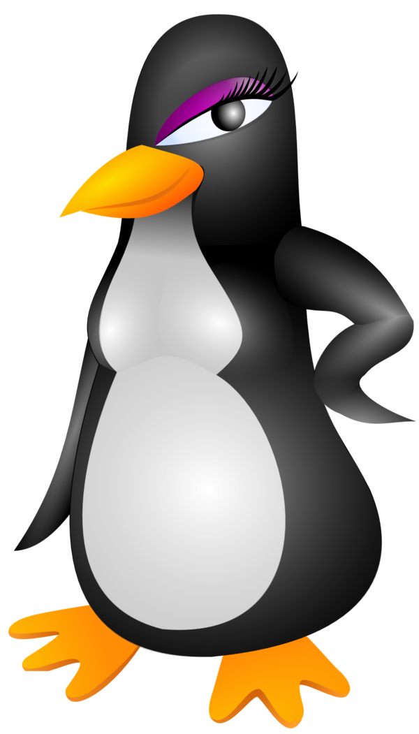 Free Bird Bird Penguin Beak Clipart Clipart Transparent Background