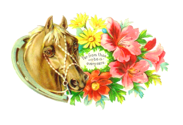 Free Horse Flower Horse Horse Supplies Clipart Clipart Transparent Background