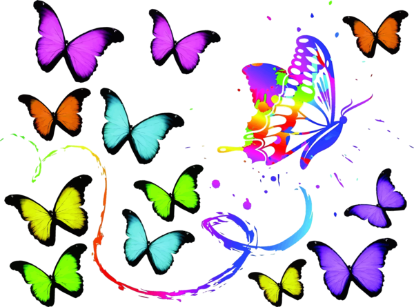 Free Butterfly Butterfly Moths And Butterflies Brush Footed Butterfly Clipart Clipart Transparent Background