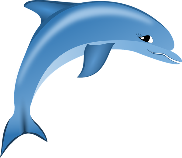 Free Dolphin Dolphin Fin Short Beaked Common Dolphin Clipart Clipart Transparent Background