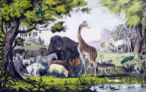 Free Dinosaur Wildlife Ecosystem Giraffe Clipart Clipart Transparent Background