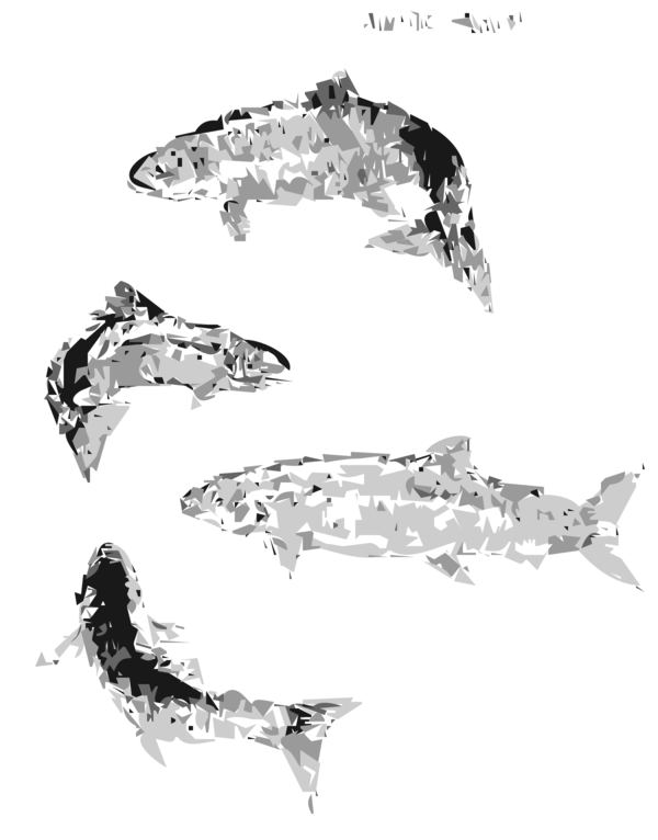 Free Dolphin Black And White Fish Diamond Clipart Clipart Transparent Background