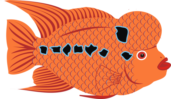 Free Fish Fish Cartoon Seafood Clipart Clipart Transparent Background