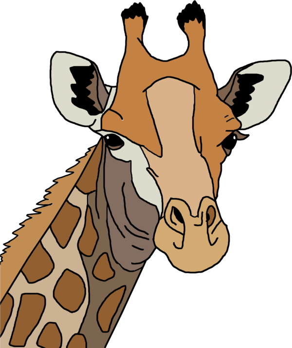 Free Giraffe Giraffe Giraffidae Wildlife Clipart Clipart Transparent Background