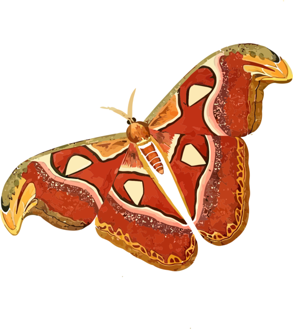 Free Butterfly Moths And Butterflies Insect Butterfly Clipart Clipart Transparent Background