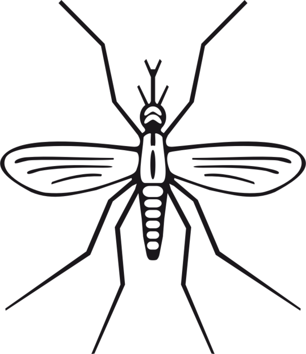 Free Butterfly Insect Black And White Pest Clipart Clipart Transparent Background