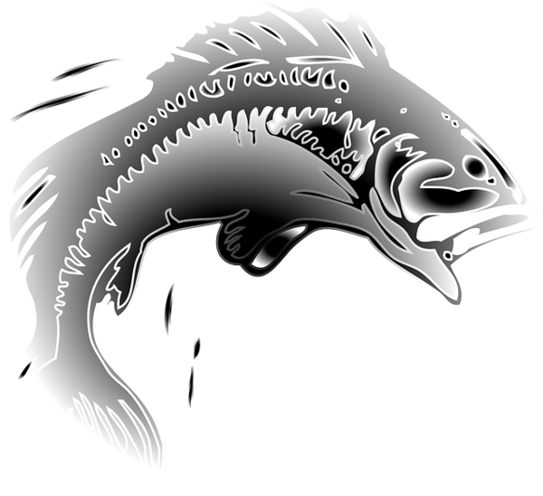 Free Fish Black And White Fish Bicycle Helmet Clipart Clipart Transparent Background