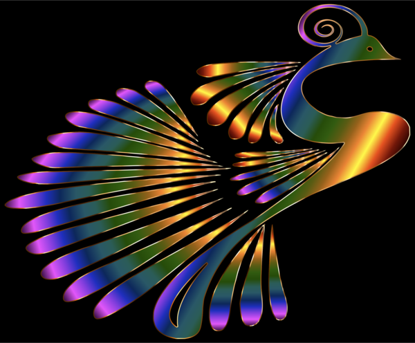 Free Bird Feather Wing Beak Clipart Clipart Transparent Background