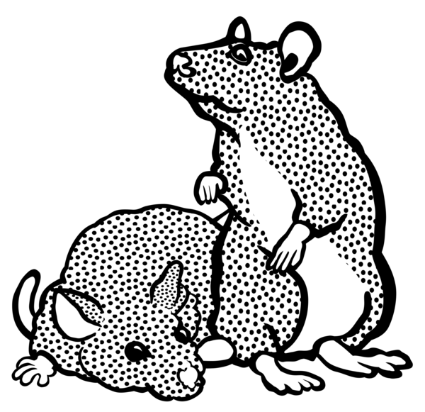 Free Cat Toad Black And White Line Art Clipart Clipart Transparent Background