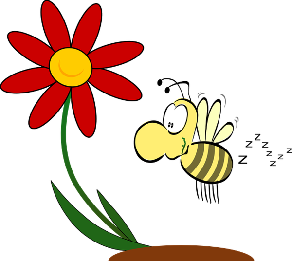 Free Bee Flower Flora Petal Clipart Clipart Transparent Background