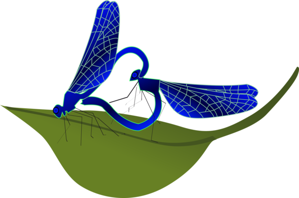 Free Bird Footwear Leaf Wing Clipart Clipart Transparent Background