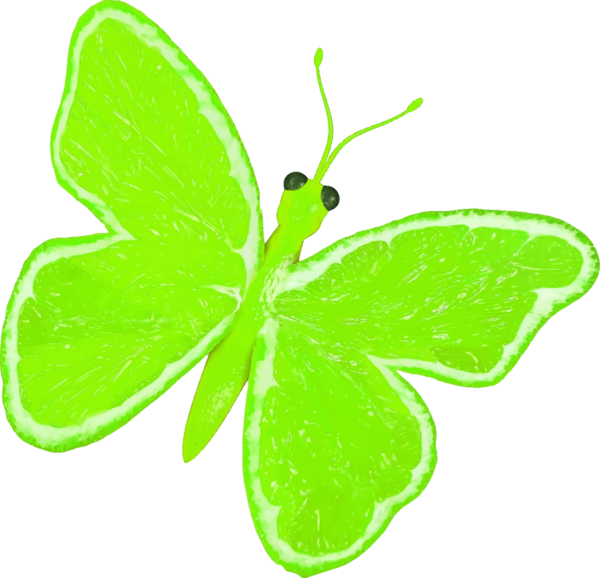 Free Butterfly Moths And Butterflies Butterfly Leaf Clipart Clipart Transparent Background